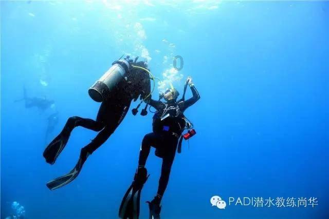 传“美国散户大本营”Reddit最快3月在美上市 估值至少50亿美元